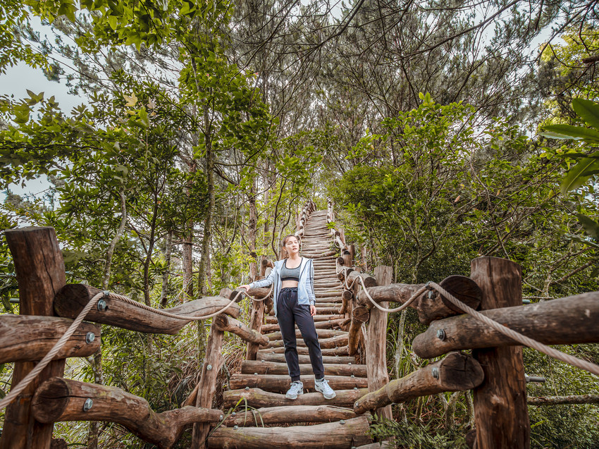 大坑步道 | 台中登山景點大坑4號步道|挑戰自我台版萬里長城 大坑步道 | 台中登山景點大坑4號步道|挑戰自我台版萬里長城