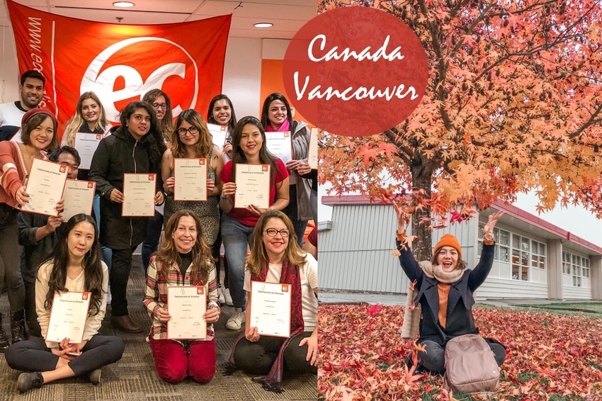 大坑步道 | 台中登山景點大坑4號步道|挑戰自我台版萬里長城