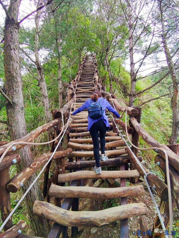 [台中大坑]網美步道!大坑四號步道，圓木步道賞陵線，新手初次挑戰走到腿軟!