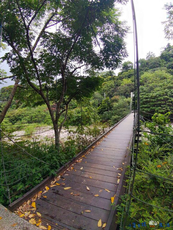 [台中大坑]網美步道!大坑四號步道，圓木步道賞陵線，新手初次挑戰走到腿軟!