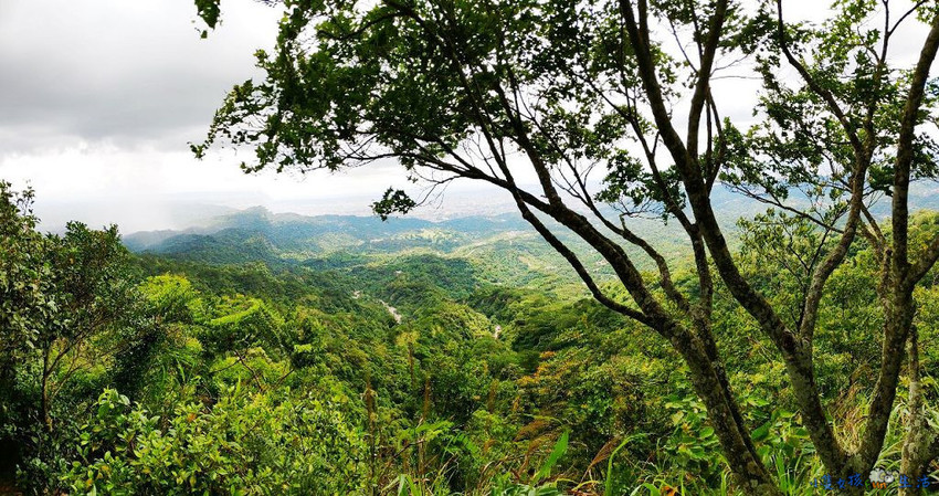 [台中大坑]網美步道!大坑四號步道，圓木步道賞陵線，新手初次挑戰走到腿軟!
