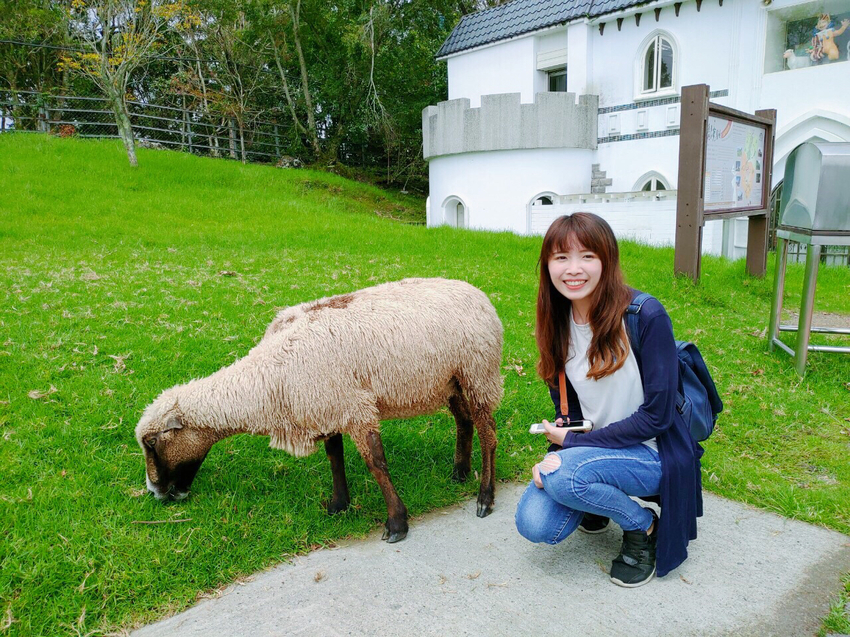 [台中大坑]網美步道!大坑四號步道，圓木步道賞陵線，新手初次挑戰走到腿軟!