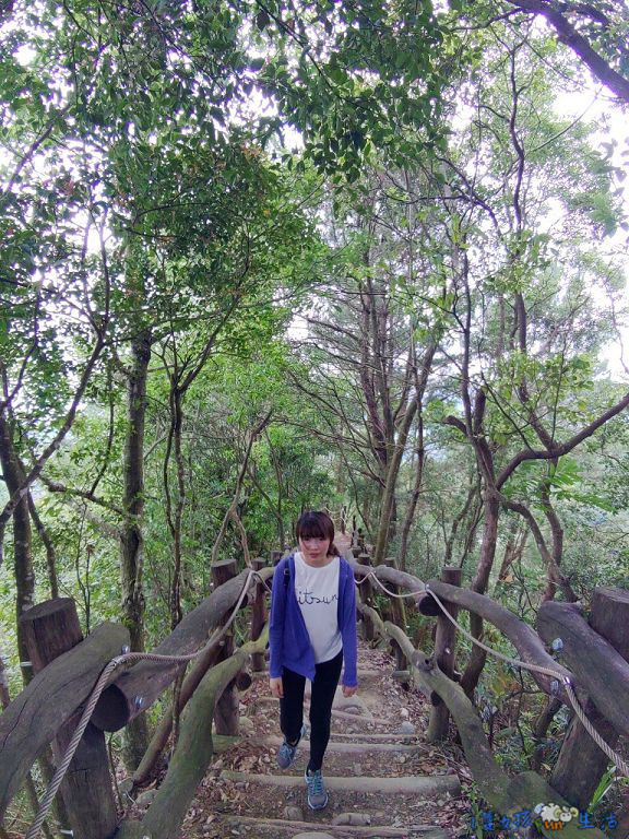 [台中大坑]網美步道!大坑四號步道，圓木步道賞陵線，新手初次挑戰走到腿軟!