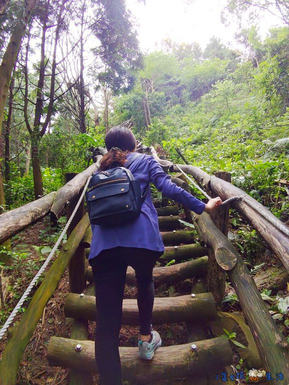 [台中大坑]網美步道!大坑四號步道，圓木步道賞陵線，新手初次挑戰走到腿軟!
