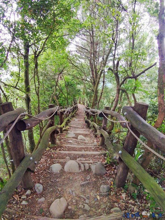 [台中大坑]網美步道!大坑四號步道，圓木步道賞陵線，新手初次挑戰走到腿軟!