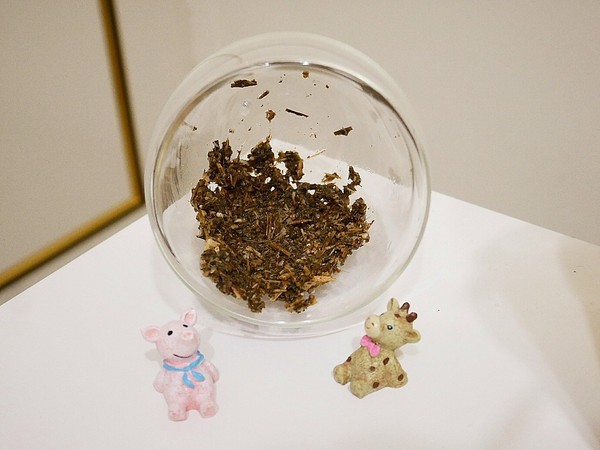 好寶寶點心藥膳坊：好寶寶點心藥膳坊-嘉義藥膳餐廳  火鍋、簡餐都是藥膳湯底  茶飲使用中藥茶包  吃飽也補滿元氣