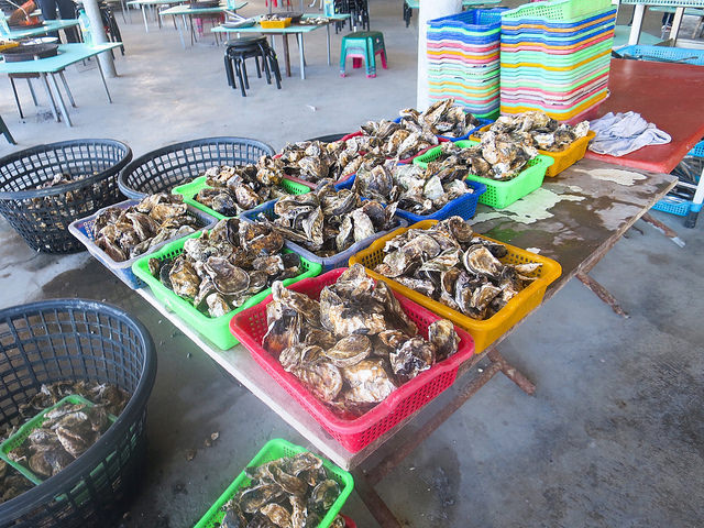 七股龍山號觀光漁筏06