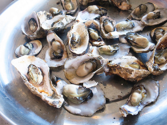 七股龍山號觀光漁筏12