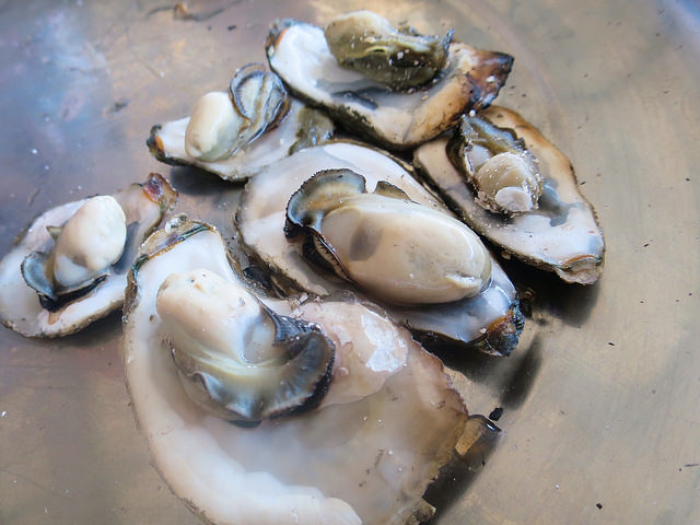 七股龍山號觀光漁筏13