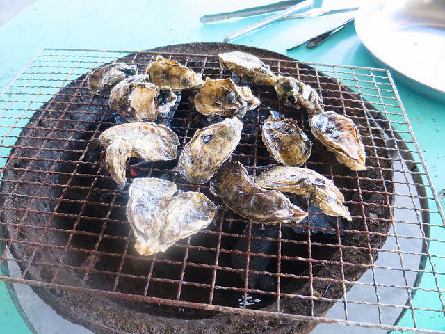 七股龍山號觀光漁筏07