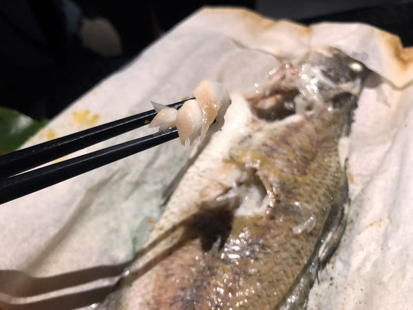 ●嘉義食記●ikki藝奇新日本料理(耐斯松屋店)/體驗券/美好氛圍的好味道