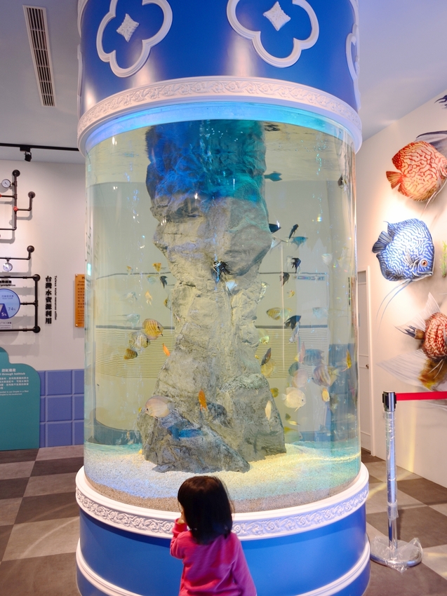 彰化新景點！整面3D彩繪牆，戲水池、白沙遊戲區，一枚硬幣可以玩半天。