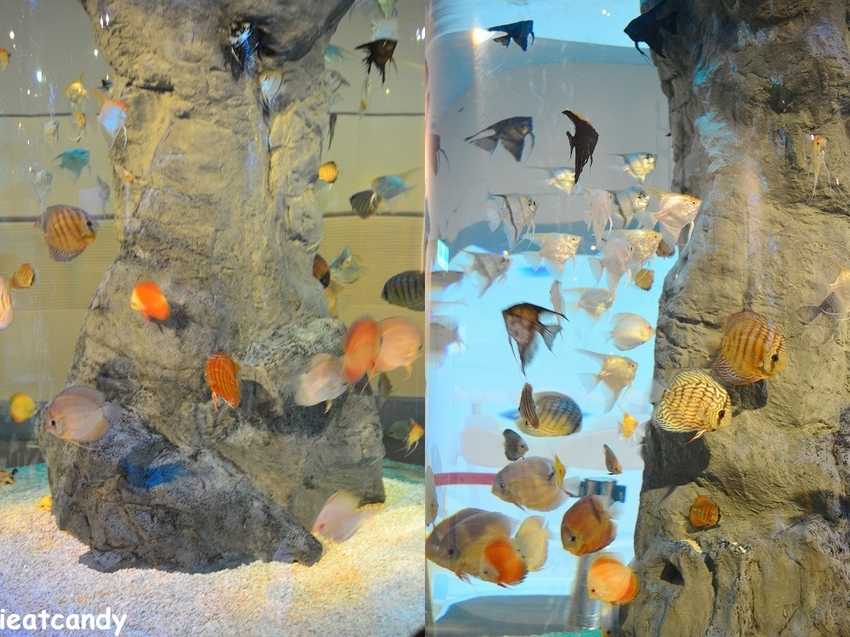 彰化新景點！整面3D彩繪牆，戲水池、白沙遊戲區，一枚硬幣可以玩半天。