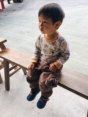 [台南旅遊] 白河萬里長城文化主題館｜仿萬里長城風情的登山步道、看得到摸得到的兵馬俑和台灣文物、彷彿穿梭到古代宮廷的古裝體驗，適合親子旅遊休閒的台南新景點！