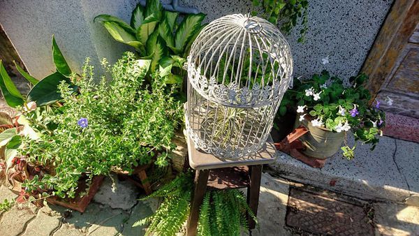 44653812_2104064706291874_2223921004873252864_n