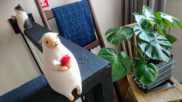 44597581_2104064056291939_6820886263411769344_n