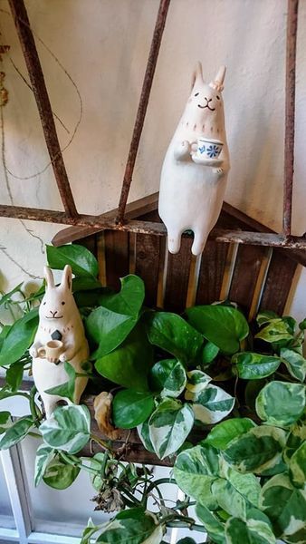 44766304_2104072766291068_9014541544283176960_n