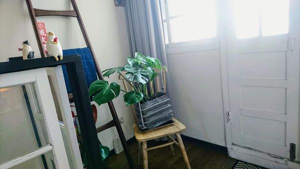 44610464_2104064206291924_7803109244936388608_n