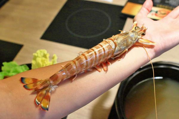 【新莊美食】なべNabe日式火鍋.燒烤-手臂般巨大明蝦及比臉大三倍帝王蟹火鍋店