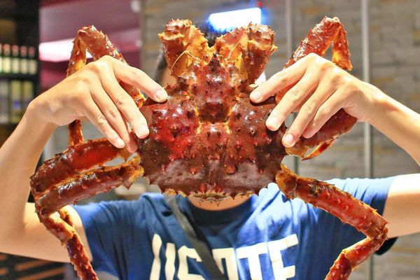 【新莊美食】なべNabe日式火鍋.燒烤-手臂般巨大明蝦及比臉大三倍帝王蟹火鍋店