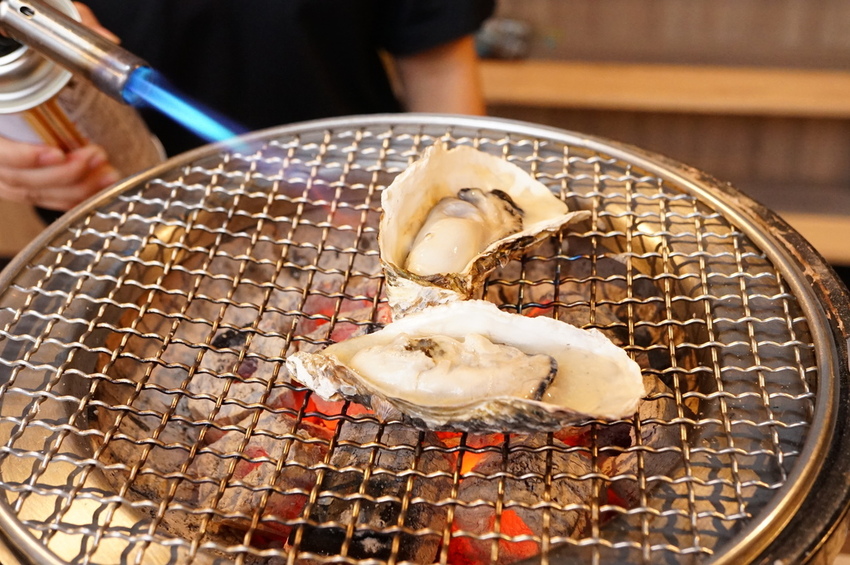 DSC03491.JPG DSC03491.JPG