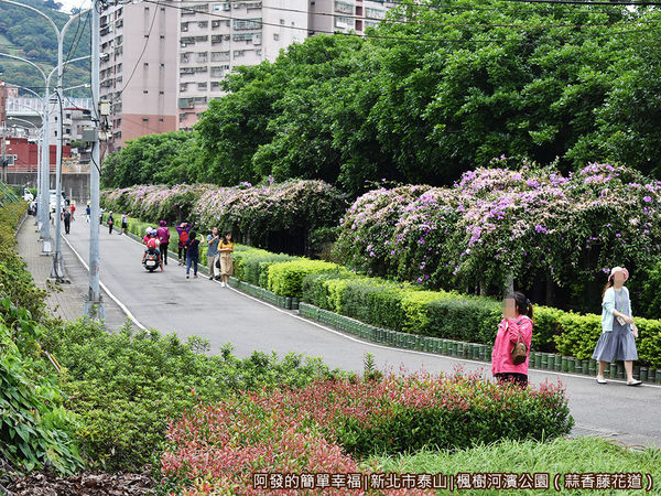 楓樹河濱公園06-楓樹河濱公園.JPG