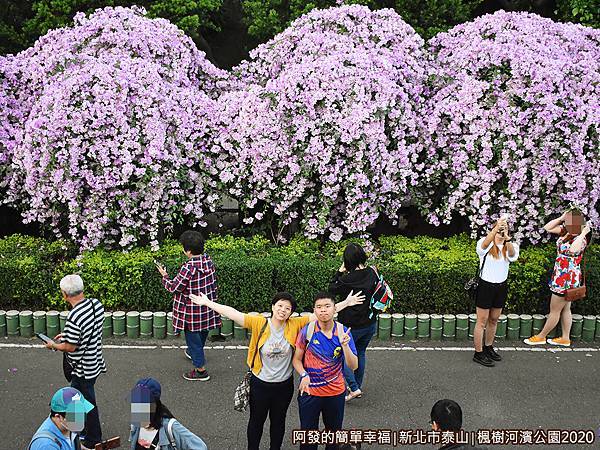 2020楓樹河濱公園16-堤防上的視角-紫色花海瀑布前的母子倆.JPG