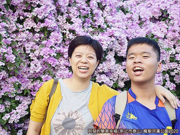 2020楓樹河濱公園09-背景如花牆.JPG