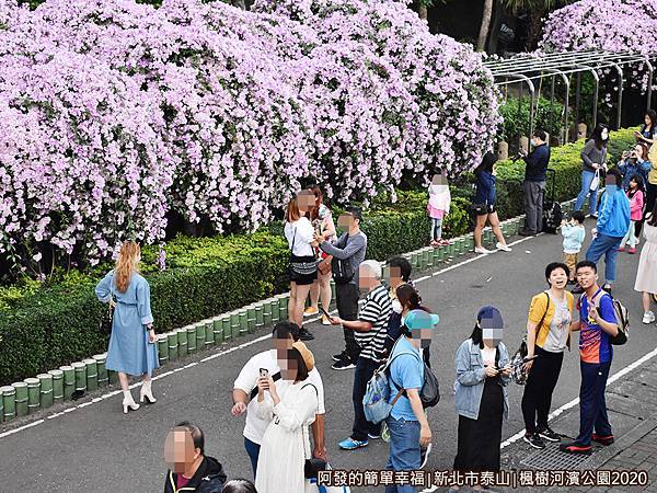 2020楓樹河濱公園15-堤防上的視角-母子倆.JPG