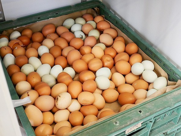 橘香合-蛋糕職人:橘香合蛋糕職人-台南古早味蛋糕 每日採用經選食材製做 冰過吃、烤完吃個有風味 等待你自己去發掘