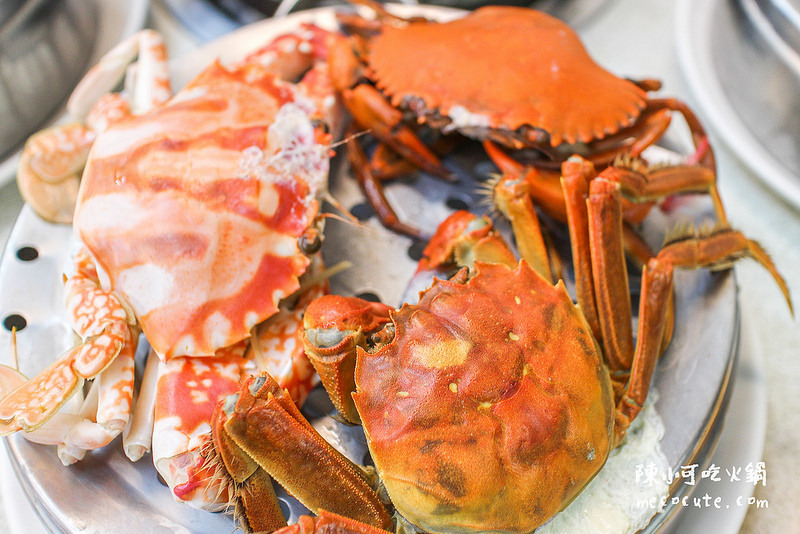 @陳小可的吃喝玩樂