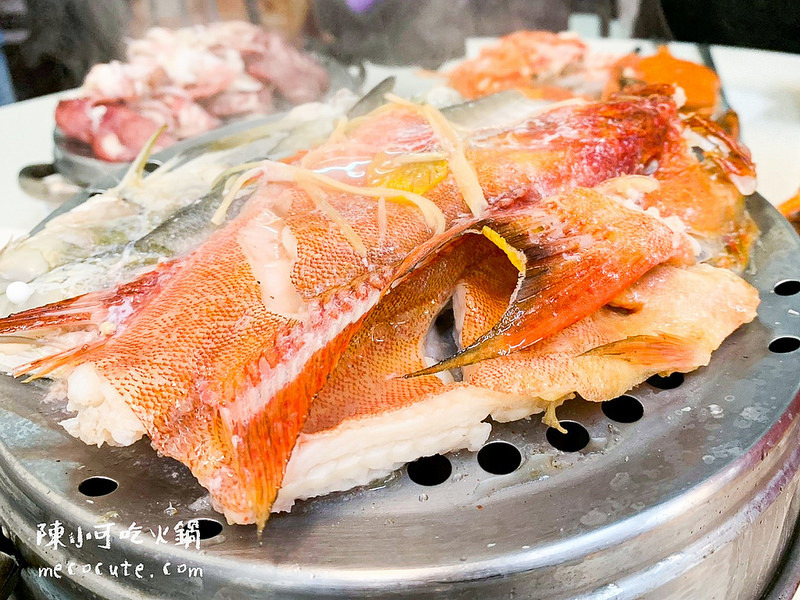 @陳小可的吃喝玩樂