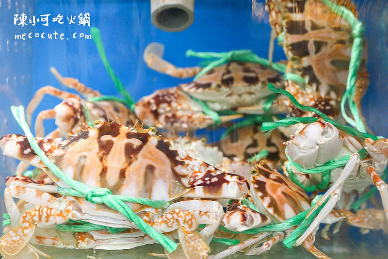 @陳小可的吃喝玩樂