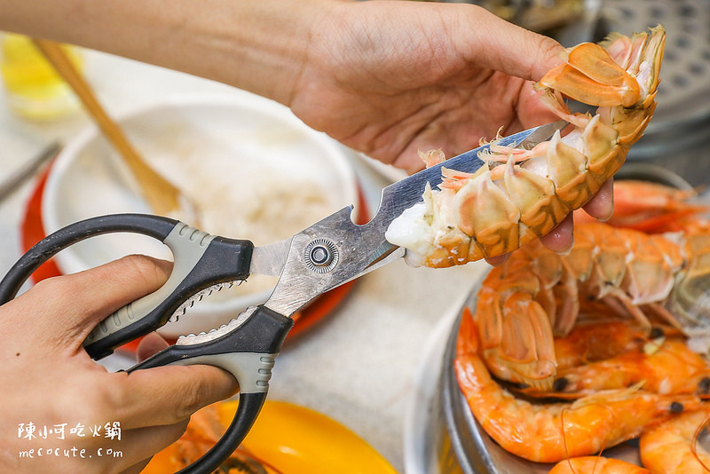 @陳小可的吃喝玩樂