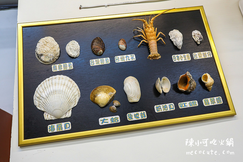 @陳小可的吃喝玩樂