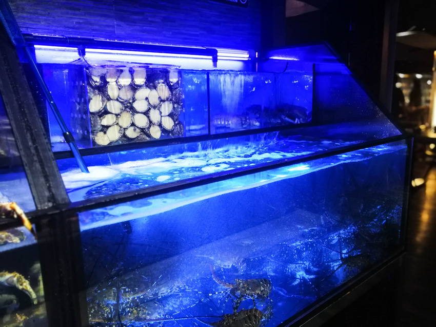 上官木桶鍋 板橋店-源自蘆洲正官 (8)