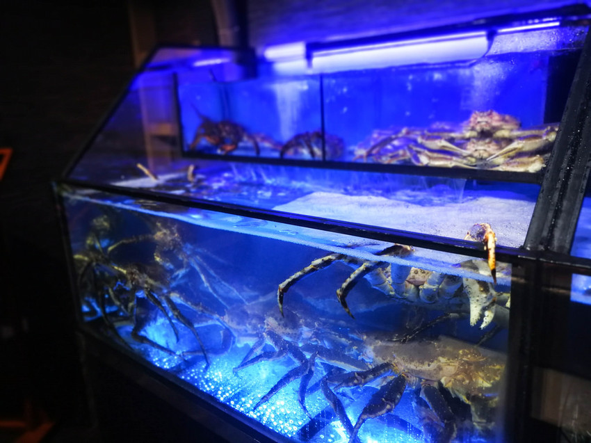 上官木桶鍋 板橋店-源自蘆洲正官 (7)