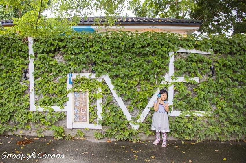 【吃喝.花蓮】壽豐景點/來去秘密就是秘蜜~網美文青不能錯過的美拍咖啡館
