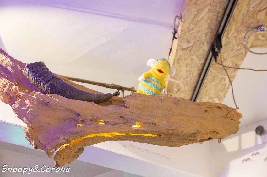 【吃喝.花蓮】壽豐景點/來去秘密就是秘蜜~網美文青不能錯過的美拍咖啡館