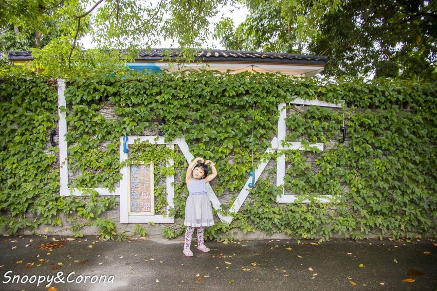 【吃喝.花蓮】壽豐景點/來去秘密就是秘蜜~網美文青不能錯過的美拍咖啡館