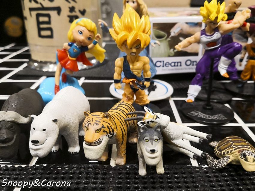 【吃喝．台北】文山區早餐／高三孝碳烤吐司～小學教室吃早餐，班長碳烤吐司與副班長烤波蘿