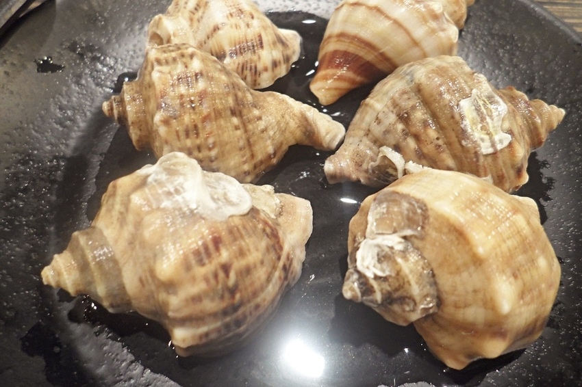 美食 ░ 推薦全台連鎖海陸吃到飽餐廳 - 好客海陸燒肉,新鮮海產肉類火烤兩吃,含COLD STONE冰淇淋吃到飽~_33.jpg