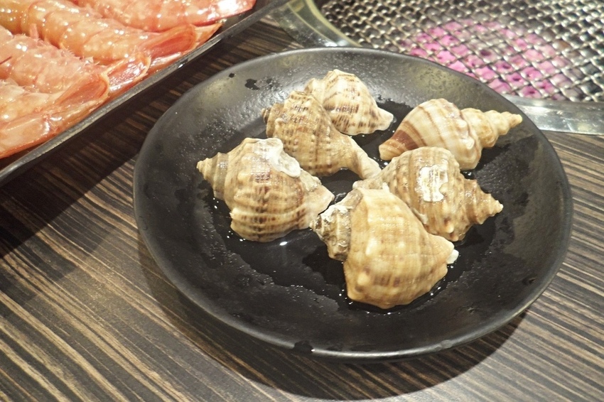 美食 ░ 推薦全台連鎖海陸吃到飽餐廳 - 好客海陸燒肉,新鮮海產肉類火烤兩吃,含COLD STONE冰淇淋吃到飽~_43.jpg