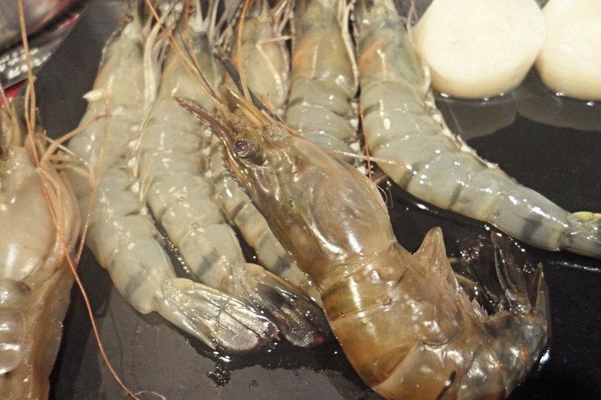 美食 ░ 推薦全台連鎖海陸吃到飽餐廳 - 好客海陸燒肉,新鮮海產肉類火烤兩吃,含COLD STONE冰淇淋吃到飽~_9.jpg