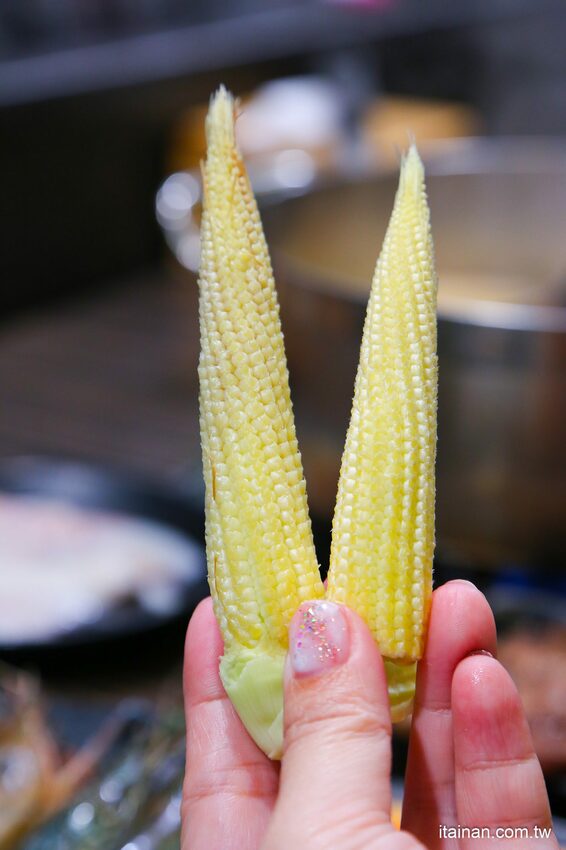 好客燒烤-台南Focus店~全新菜單上市，一口價吃安格斯牛+60種食材火烤兩吃吃到飽，加188元頂級肉品+海鮮無限量供應!! - 台南好Food遊