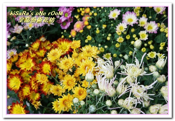 皇品藝術花坊(許皓鈞老師):台中花藝.認真又具巧手美感的花藝大師──皇品藝術花坊.許皓鈞老師