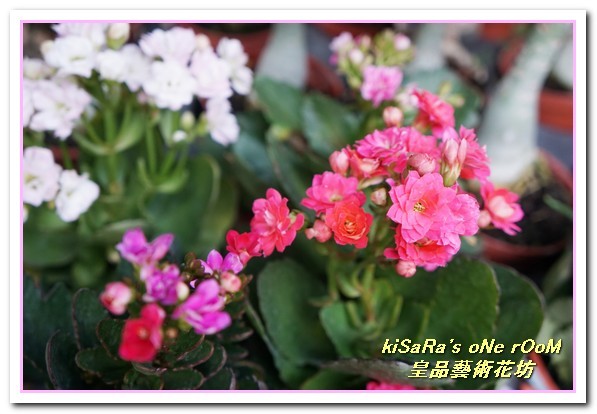 皇品藝術花坊(許皓鈞老師):台中花藝.認真又具巧手美感的花藝大師──皇品藝術花坊.許皓鈞老師