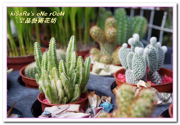 皇品藝術花坊(許皓鈞老師):台中花藝.認真又具巧手美感的花藝大師──皇品藝術花坊.許皓鈞老師