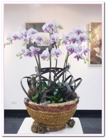 皇品藝術花坊(許皓鈞老師):台中花藝.認真又具巧手美感的花藝大師──皇品藝術花坊.許皓鈞老師