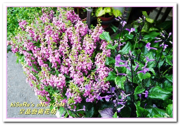 皇品藝術花坊(許皓鈞老師):台中花藝.認真又具巧手美感的花藝大師──皇品藝術花坊.許皓鈞老師